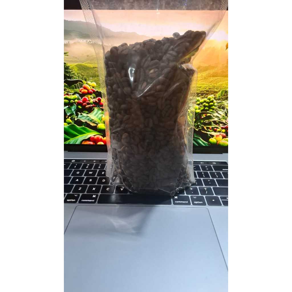 

Biji Kopi Robusta Lampung 1kg
