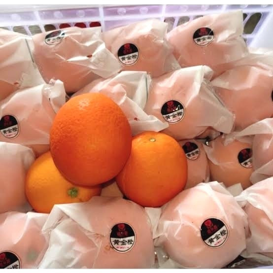 

Buah Jeruk Sunkist 1 kg l Jbp_Fresh