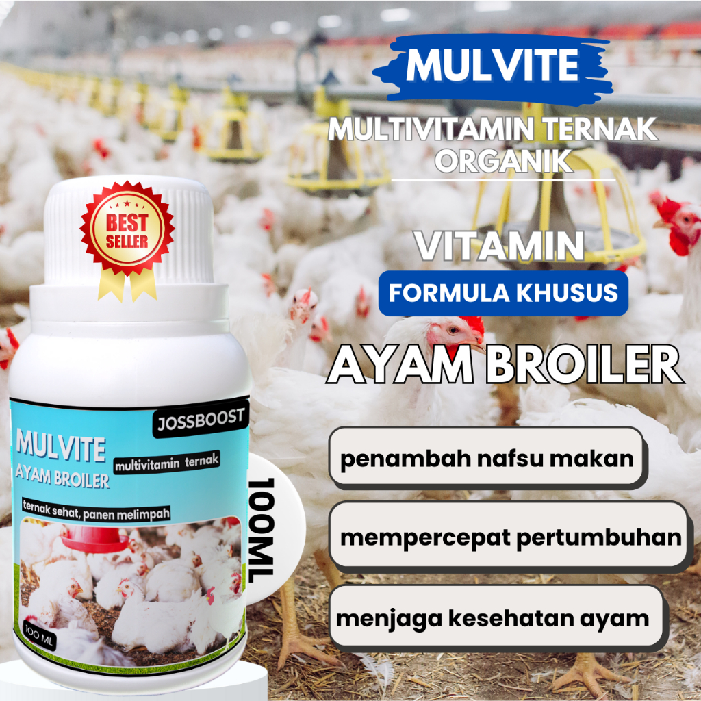 MULVITE Penggemuk Ayam Pedaging, Ayam Kampung, Menambah Nafsu Makan Ternak Ayam, Meningkatkan Bobot 
