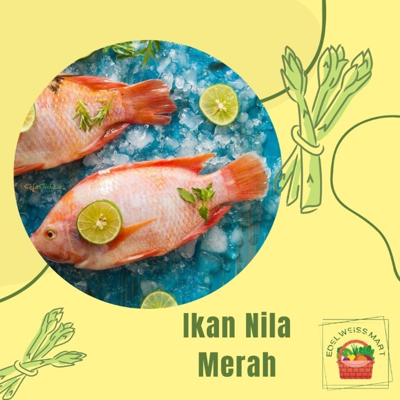 

IKAN NILA MERAH SEGAR/IKAN NILA BUMBU KUNING +-500g (FRESH) - INSTANT SEMARANG