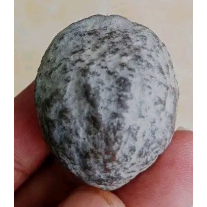 Muncang Aduan Yanti BR