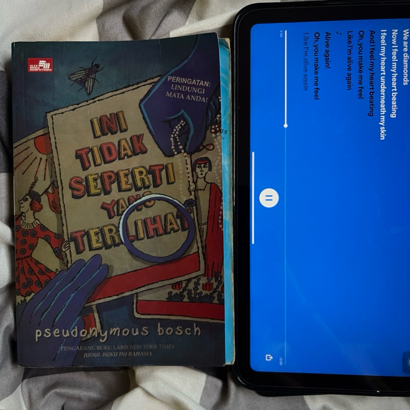 Novel Ini Tidak Seperti Yang Terlihat // Buku Second Bekas Preloved Original Terjemahan