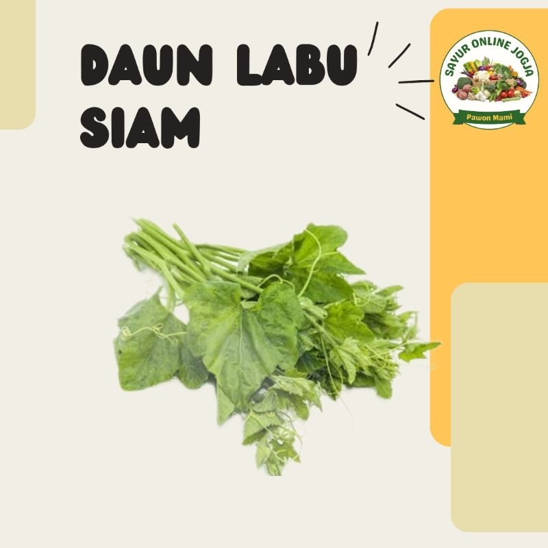 

Daun labu Siam daun pucuk labu siam - PAWON MAMI SAYUR ONLINE JOGJA