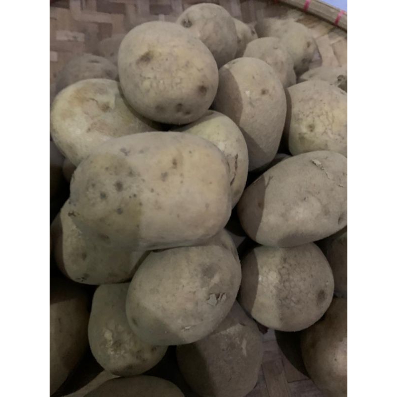 

Kentang Dieng 500 gram