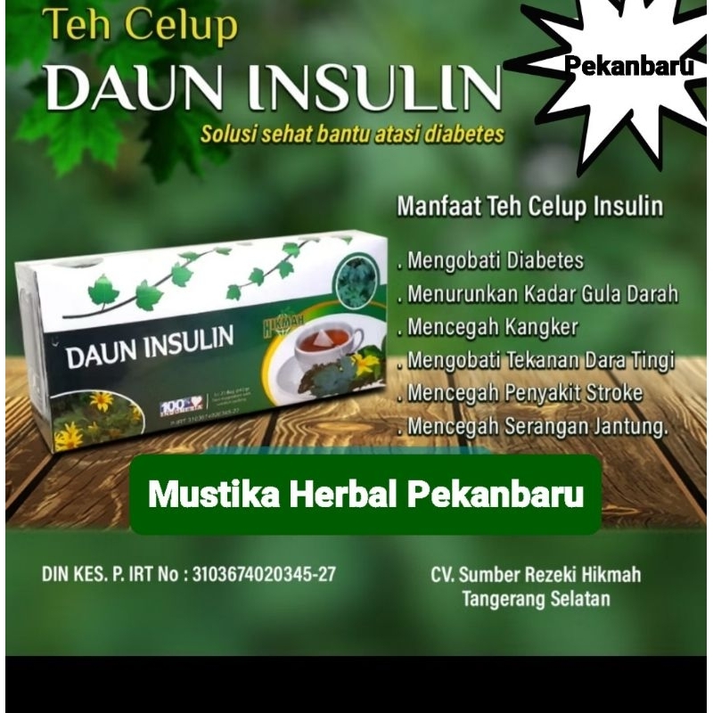 

Daun Insulin Teh Celup Solusi Sehat Bantu Atasi Diabetes