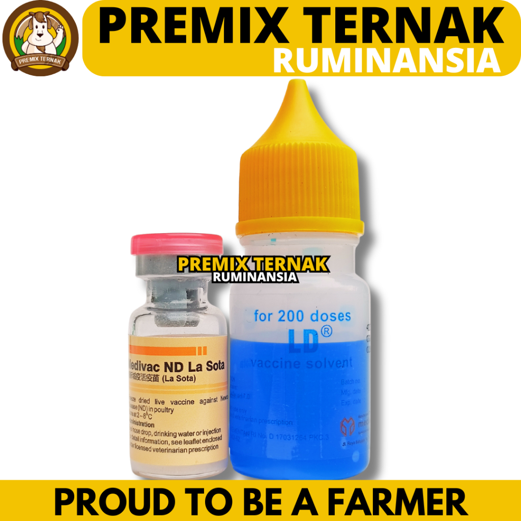 VAKSIN ND LASOTA DOSIS 200 EKOR + PELARUT MEDIVAC MEDION - Vaksin Ayam Tetes Mata Nd Lassota Tetelo
