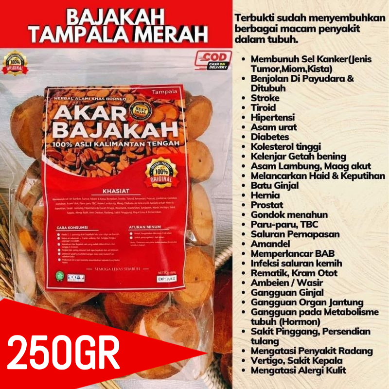 

PROMO COD Akar Bajakah 250gr Kalalawit Merah Asli Kalimantan