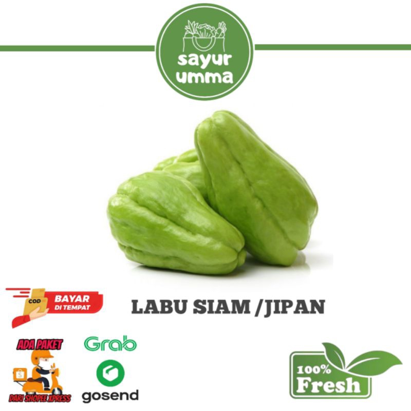 

Labu siam / jipang / manisah 500gram