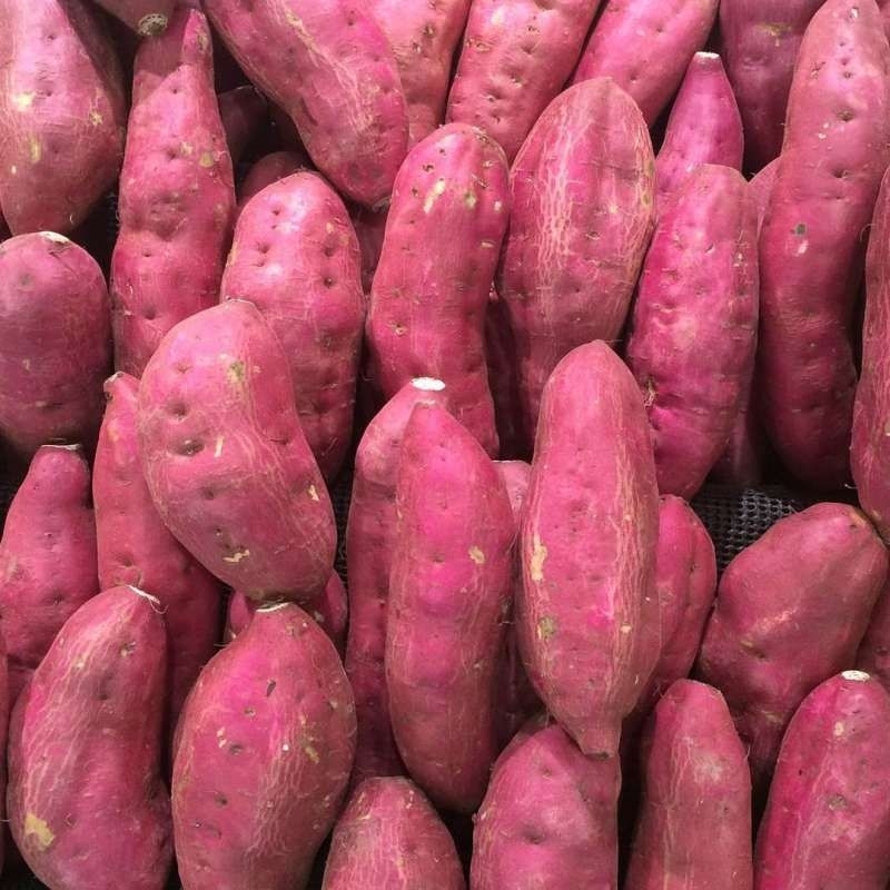 

UBI UNGU SUPER 1KG-FRESH