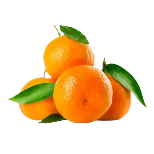 

Jeruk Baby Shantang Daun 500 gram