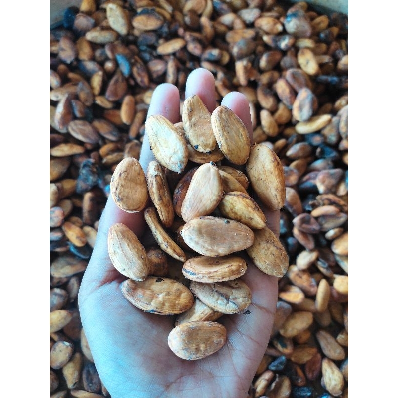

BIJI COKLAT KERING//BIJI KAKAO//COCOA BEANS KERING 250GRAM