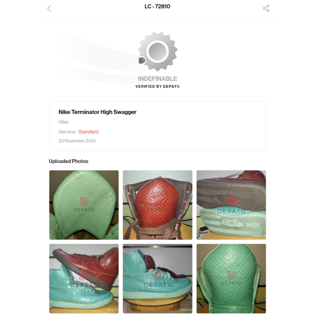 Nike Terminator High Swagger