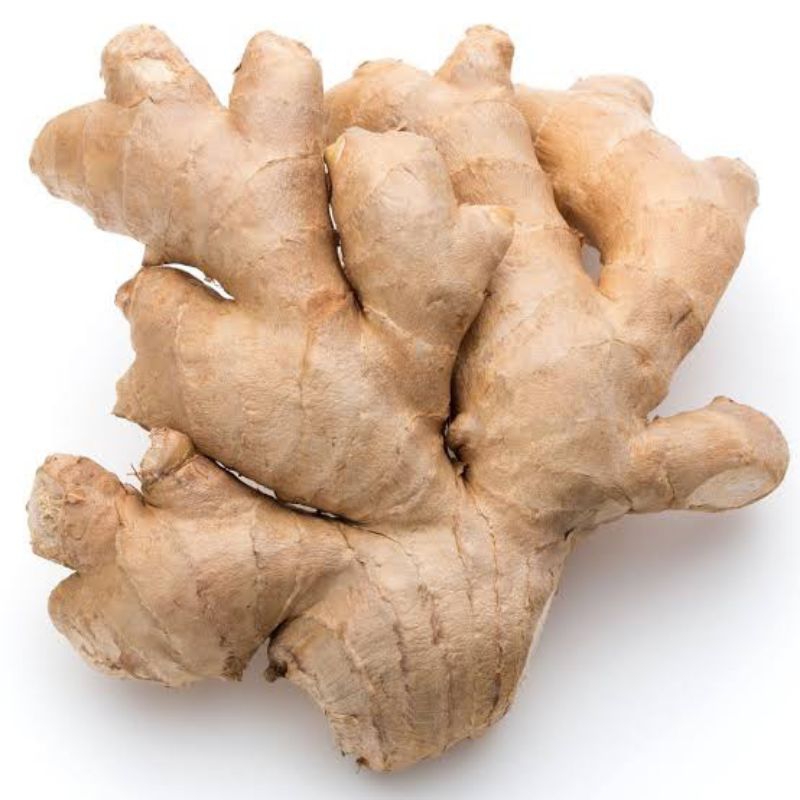 

Jahe Putih / Jahe Gajah / Berat 500 gram