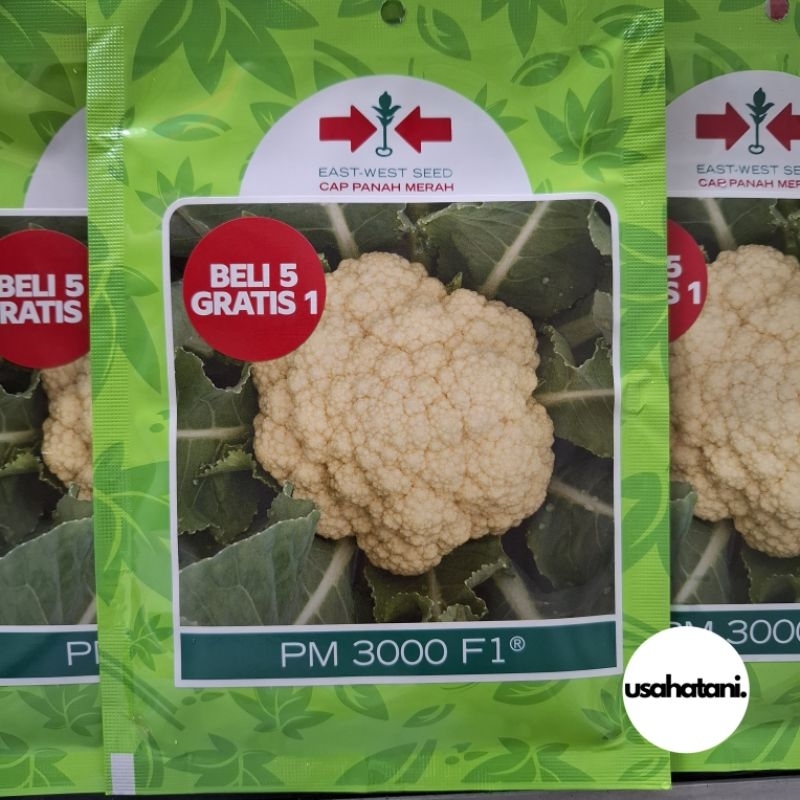 (Beli 5 Gratis 1) Benih Kembang Kol PM 3000 (PM3000) F1 10 Gram Cap Panah Merah