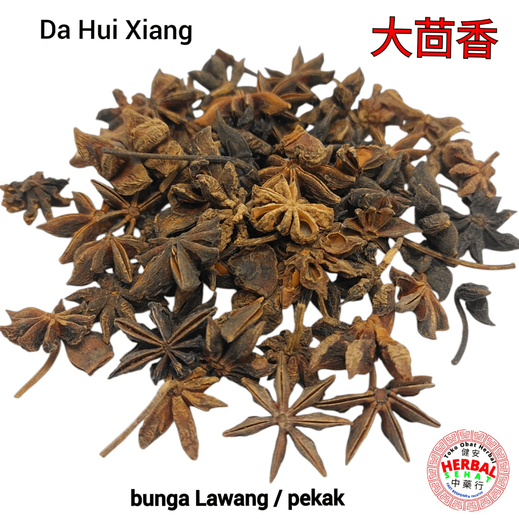 

Da Hui Xiang 大茴香 Bunga Lawang / Star Anise / Ba Jiao / Pe Kak / Pekak