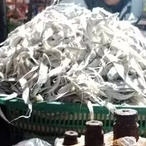 

ikan asin ongong