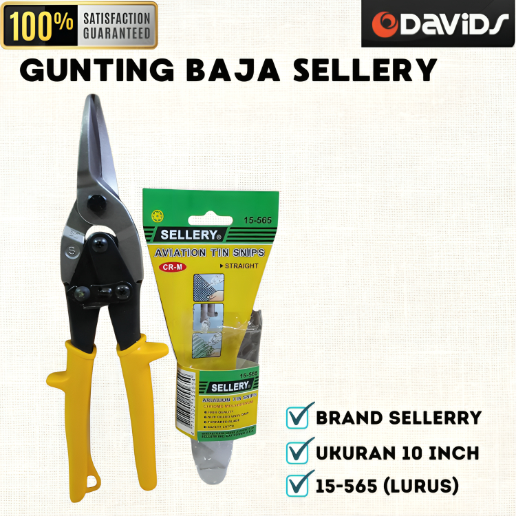 Sellery Gunting Baja Ringan Seng Galvalum Plat Holo Hollow 10 Inch