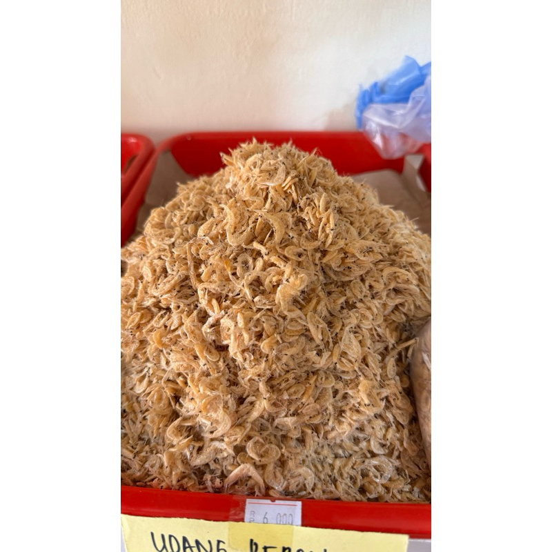 

Udang Rebon - Udang Ragu