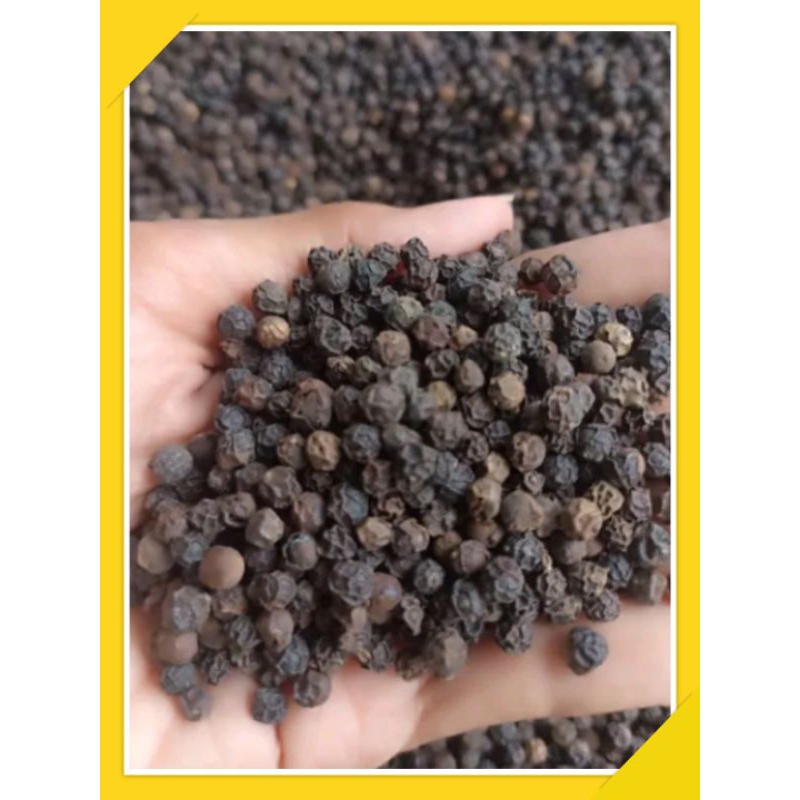 

lada hitam bumbu rempah herbal asli masakan