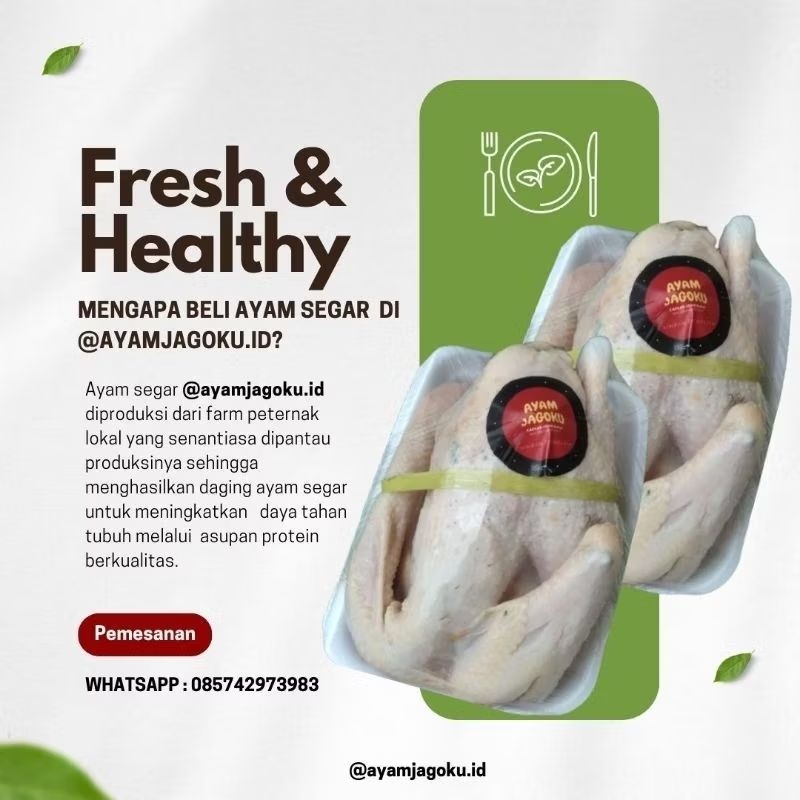 

AYAM JAGOKU Ayam Jowo Super Segar Diproduksi - Ayam Utuh 1 kg