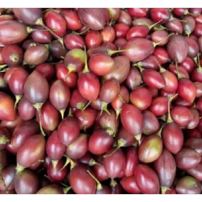 

buah terong belanda/terong qori 1kg