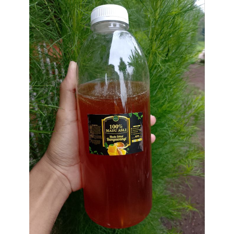 

Madu Hutan Asli 100% Tanpa Campuran Kemasan 1 kg