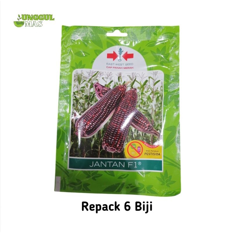 UnggulMas - Repack 6 Biji Benih Jagung Jantan F1 Cap Panah Merah Original / Repack Benih Jagung Pulu