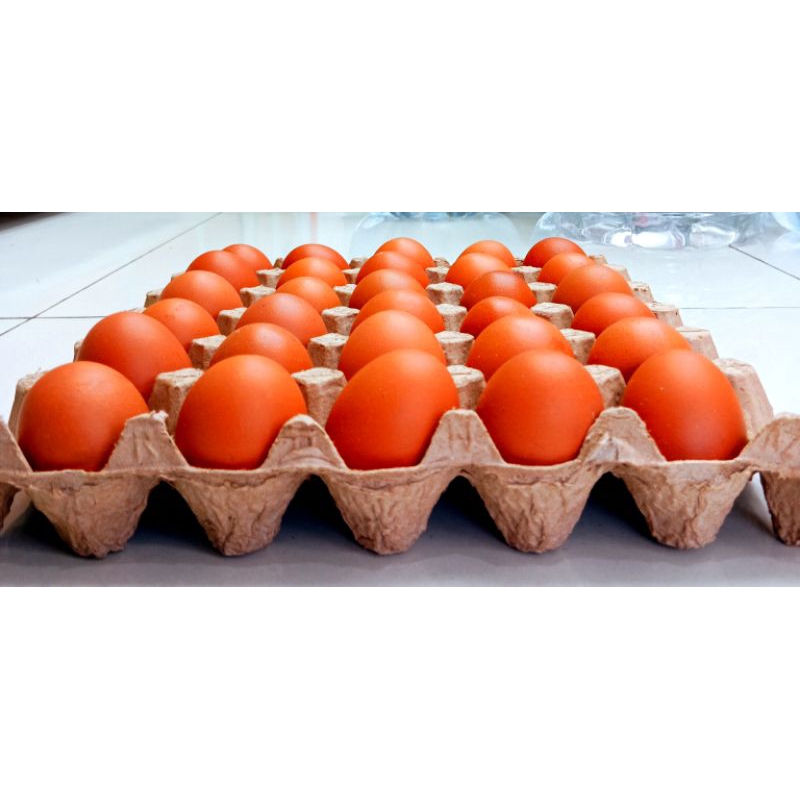 

1 Tray Telur Omega Isi 30 Butir