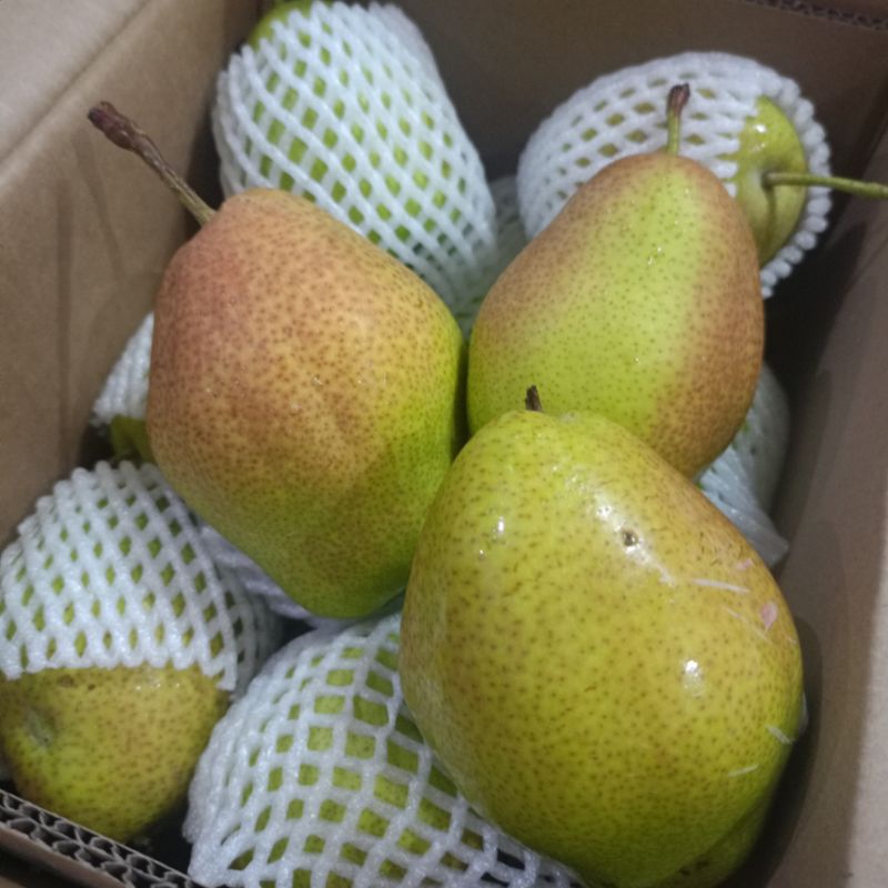 

Pear Xianglie 22rb/kg