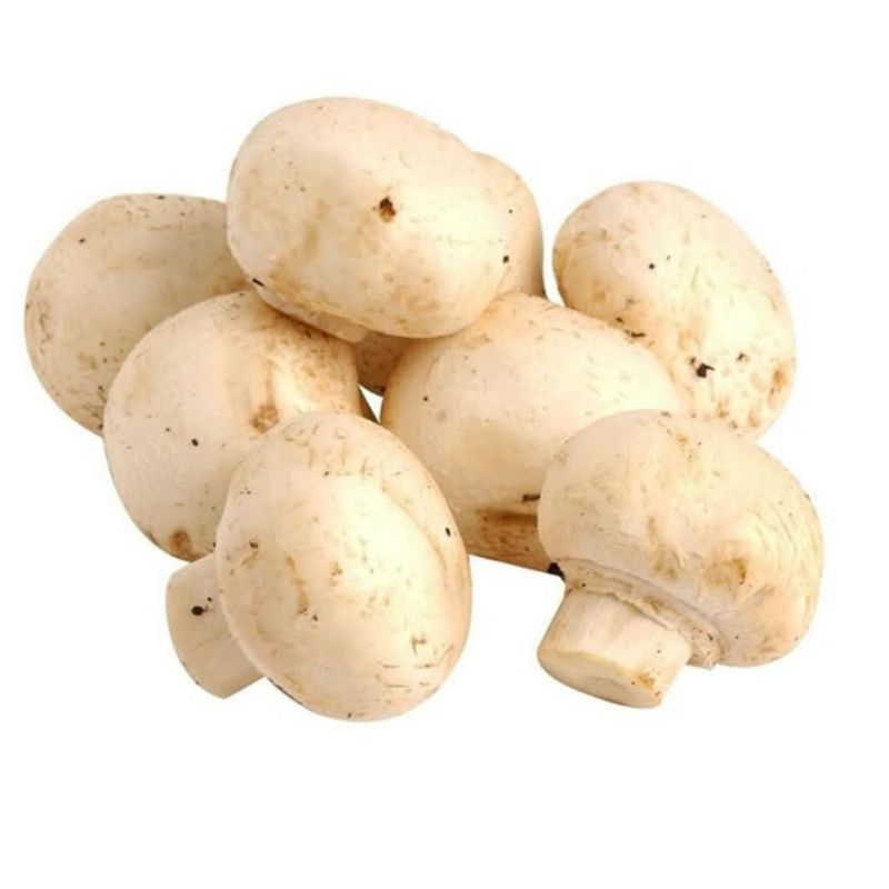 

Jamur champignon