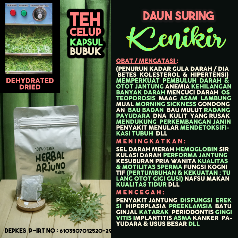 

Dehydrated Dried Teh Celup Kapsul Bubuk Daun Kenikir Suring Obat Osteoporosis Anemia Kesuburan Kualitas Sperma Maag Asam Lambung Pembuluh Pencuci Darah Diabetes Hipertensi Kolesterol Bau Badan Mulut Gondongan Ibu Hamil Janin Radang Payudara Herbal Alami