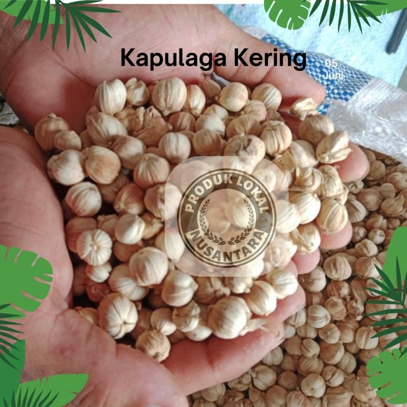 

Kapulaga Kering 1kg