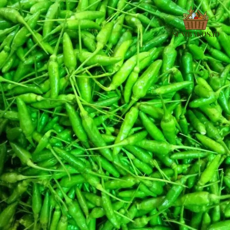 

INSTAN- CABE RAWIT HIJAU SEGAR- CABE RAWIT IJO