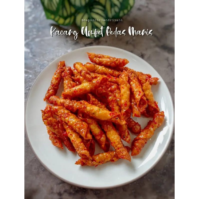 

kacangsembunyinonadese