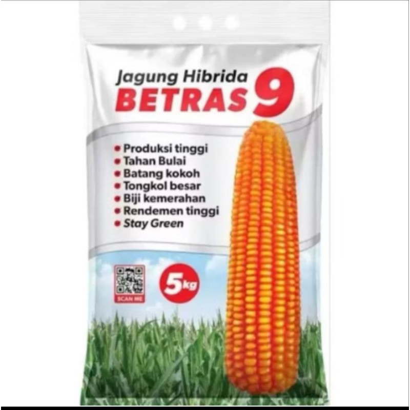 BENIH JAGUNG BETRAS 9 KEMASAN 5KG