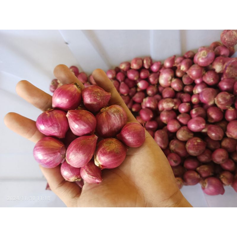 

bawang merah Bima super