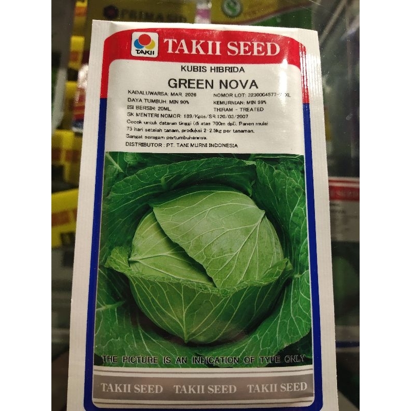 Benih Kubis / Kol Hibrida Green Nova