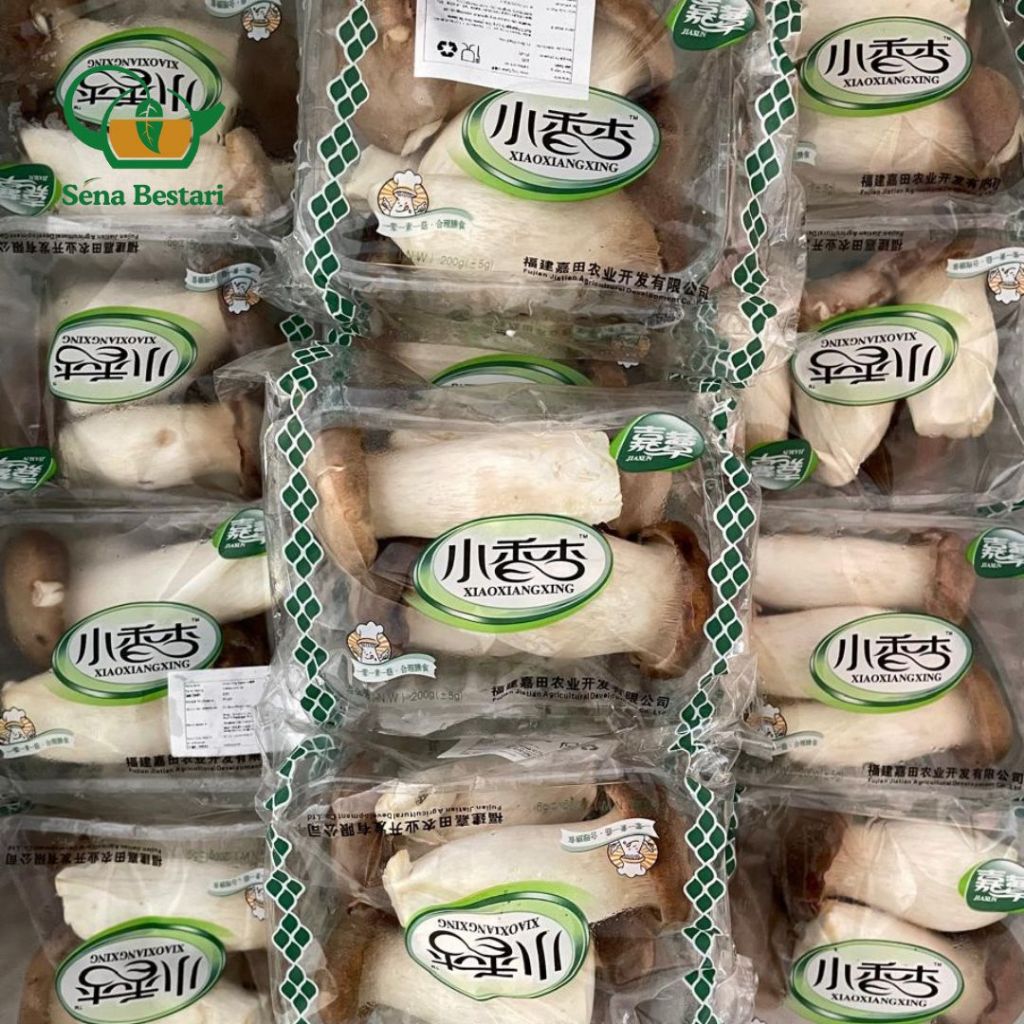 

Jamur King Oyster/ Jamur Eryngii atau Jamur Terompet 1 pcs