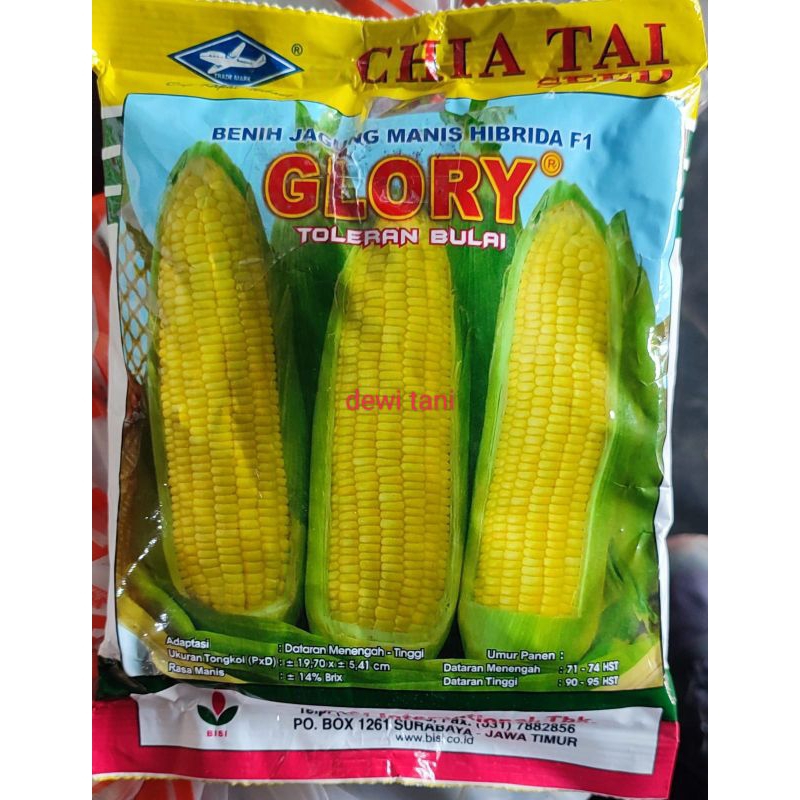 

GLORY BENIH JAGUNG MANIS