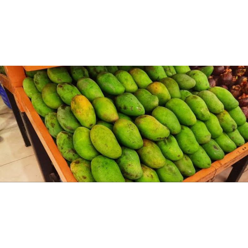 

MANGGA HARUM MANIS PREMIUM