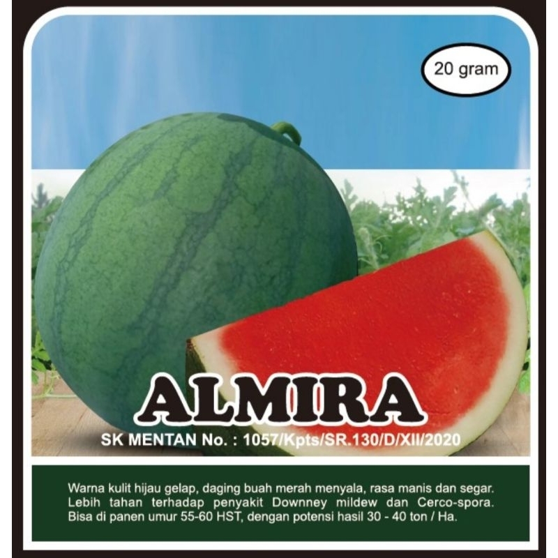 Semangka Non Biji ALMIRA F1