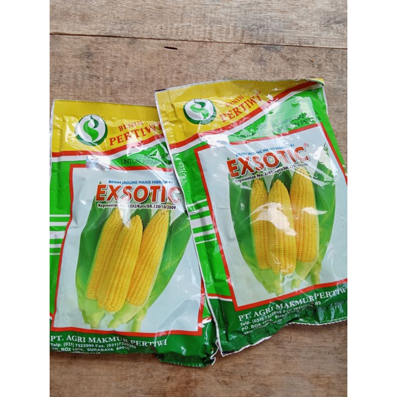 Jagung Manis Exotic Pertiwi