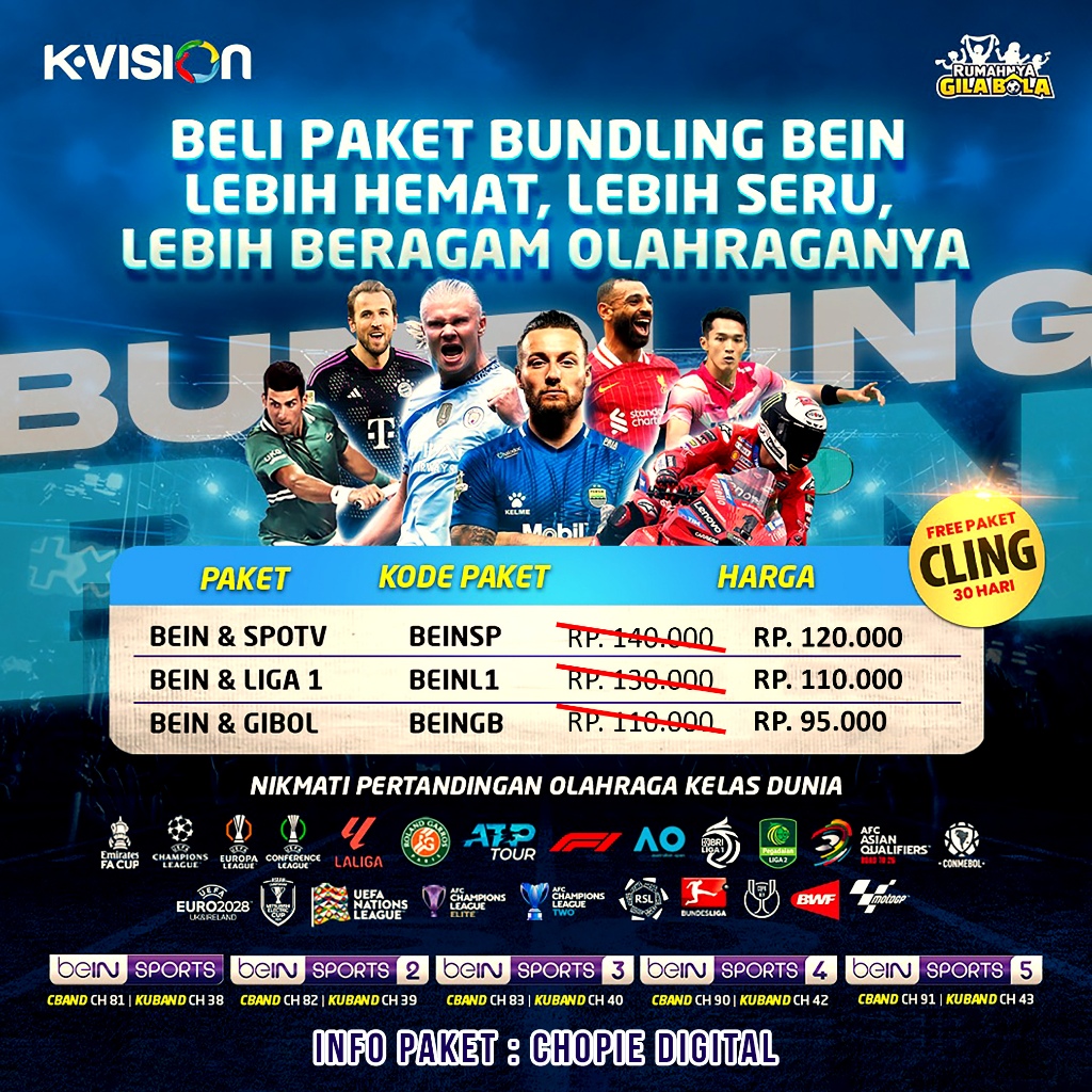 KVision Paket Bundling Bein