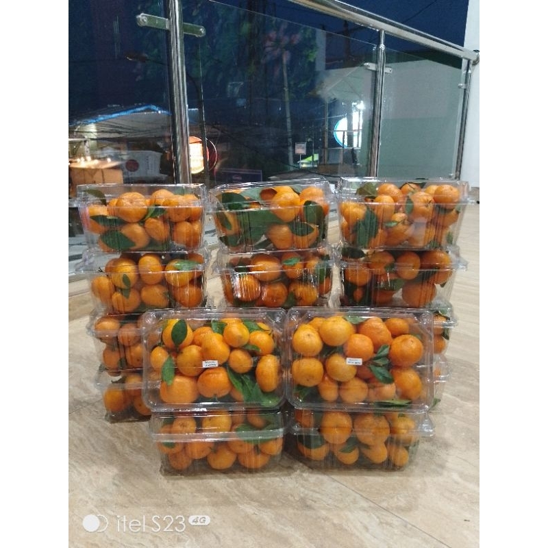 

PROMO Jeruk Santang Daun 800gr