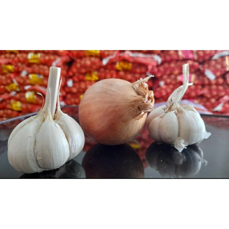 

bawang putih banci 1kg