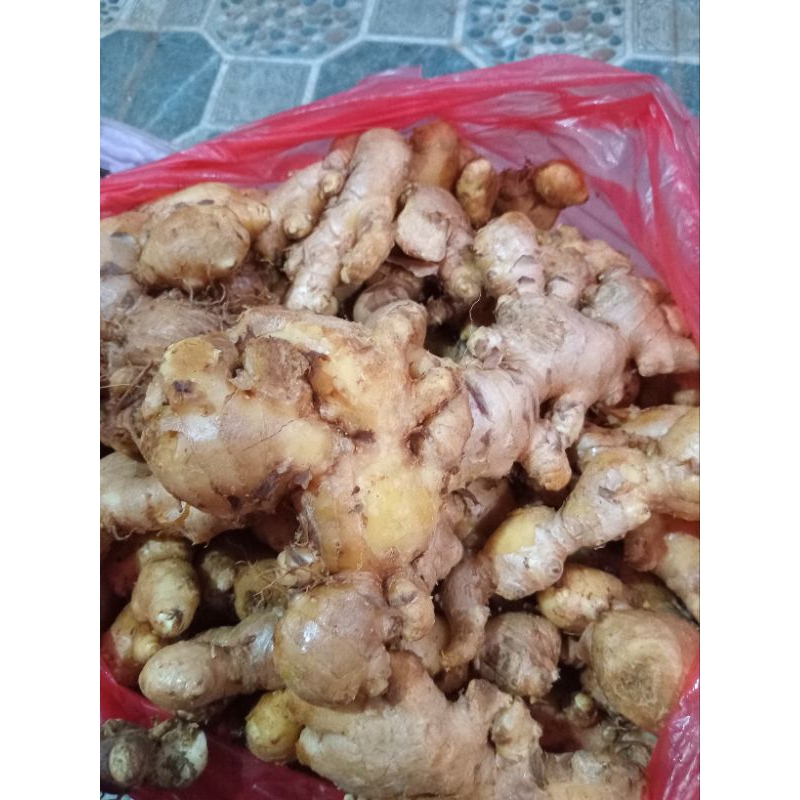 

jahe lokal super 1 kg