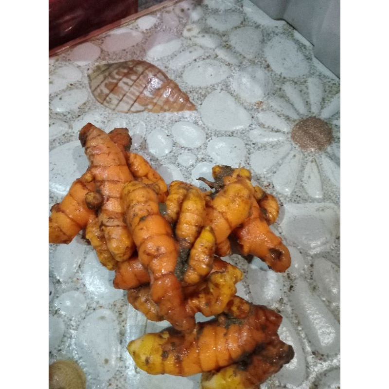 

kunyit kuning fress hasil panen super murah meriah 1kg