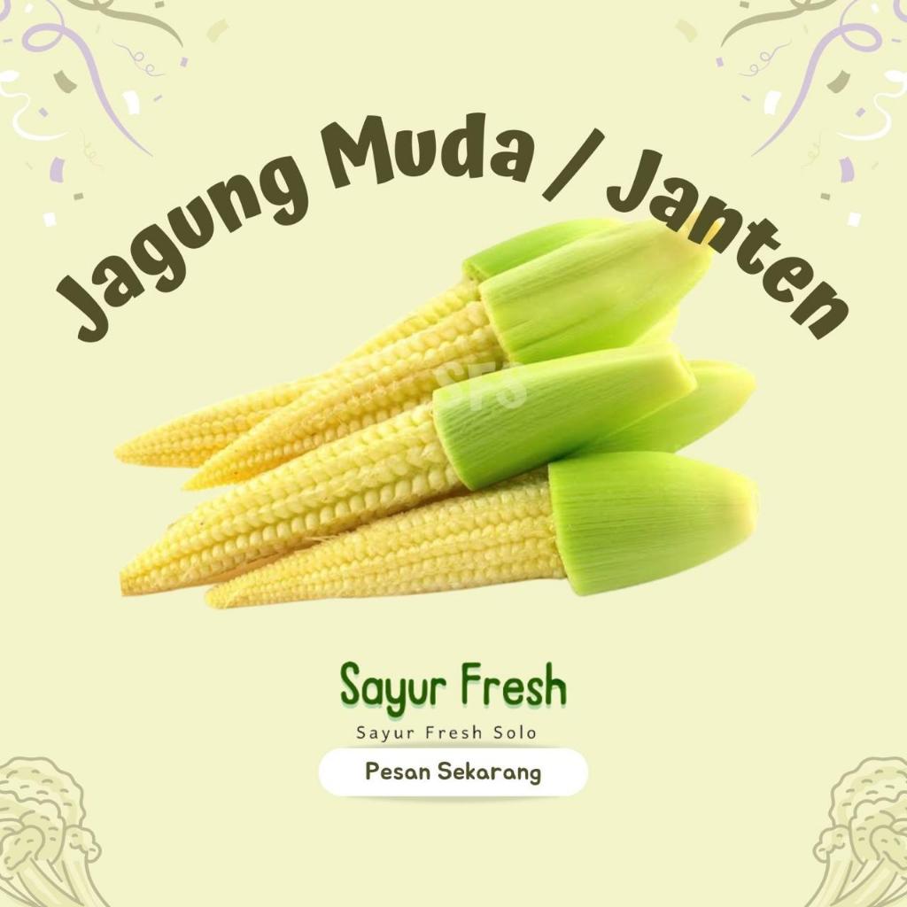 

Jagung Muda / Janten - Sayur Fresh Solo