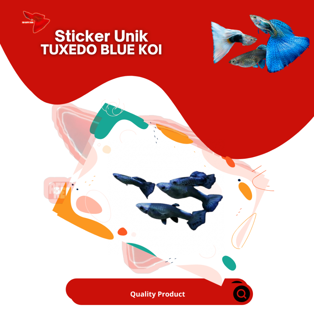 

Sticker Unik Tuxedo Blue Koi