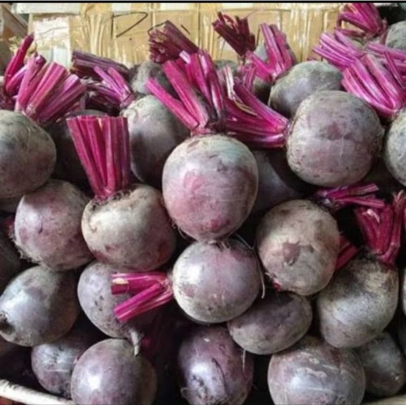 

buah bit beet trom 1kg